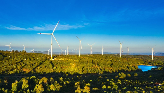 Cánh đồng với vô số quạt gió khổng lồ rất thú vị