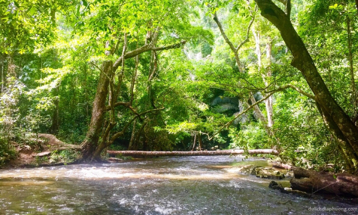 Suối khoáng Đắk Mol là điểm nghỉ dưỡng xả hơi tốt cho sức khỏe