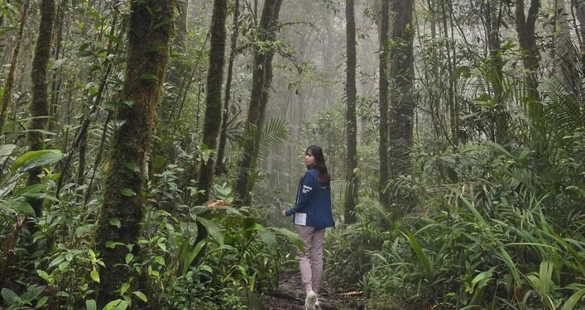 Công viên Quốc gia Kinabalu