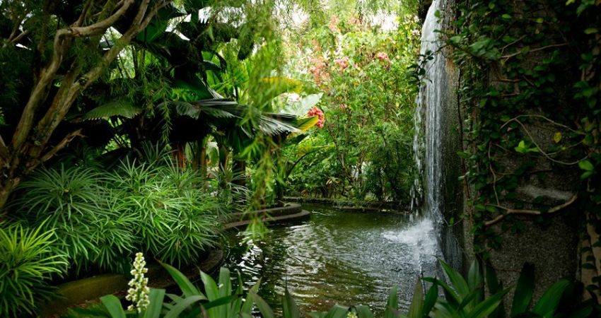 Khu vườn nhiệt đới The Secret Garden - cẩm nang du lịch Petaling Jaya Malaysia
