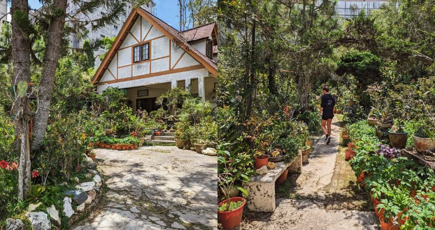 Khu vườn tư nhân Tan’s Camellia