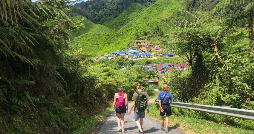 Cameron Highlands Trail No.9 - cẩm nang du lịch Tanah Rata Malaysia