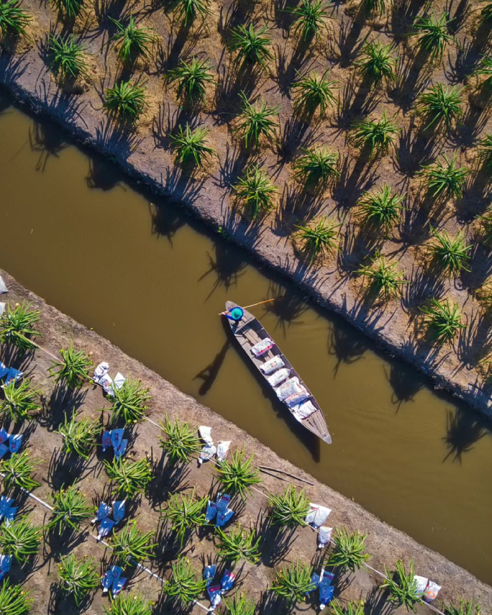 Vùng đất Tiền Giang màu mỡ với địa hình sông ngòi ngập nước