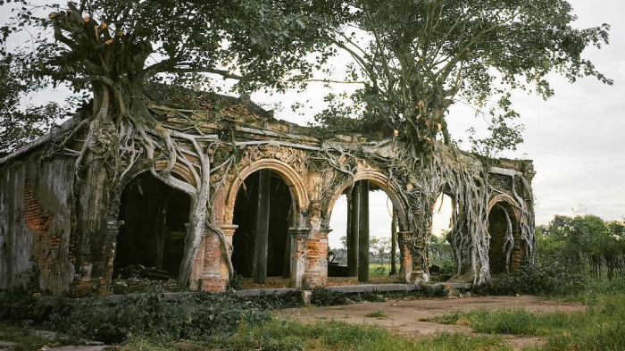 Đình Tân Đông cổ kính với phần rễ cây bám chặt vào tường