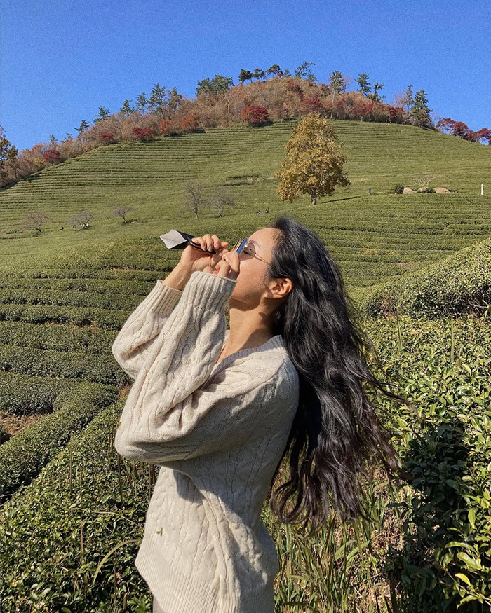 Lễ hội trà xanh sôi động tại cánh đồng trà xanh boseong hàn quốc