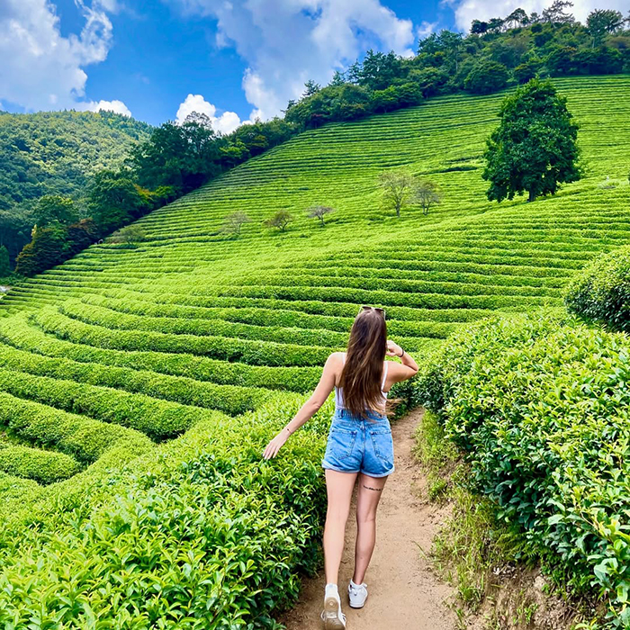 Phương tiện di chuyển từ Từ Busan đến Boseong