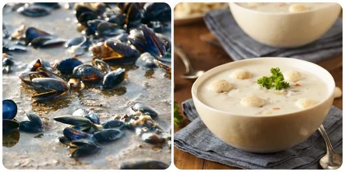 Cháo phi cầu Sài Hậu Lộc Thanh Hoá là món tinh tế và bổ dưỡng.