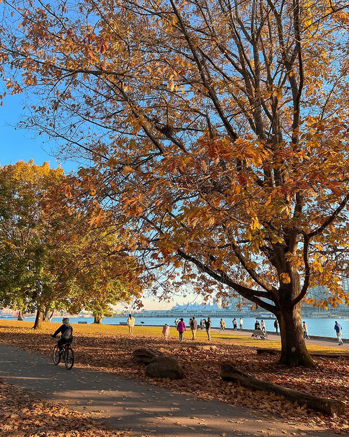 Mùa thu (tháng 9 – 10) tại công viên Stanley Park Canada