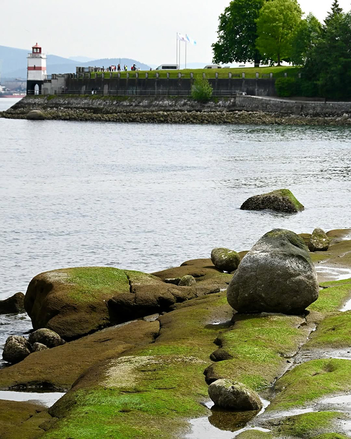 Hồ Beaver (Beaver Lake) tại công viên Stanley Park Canada