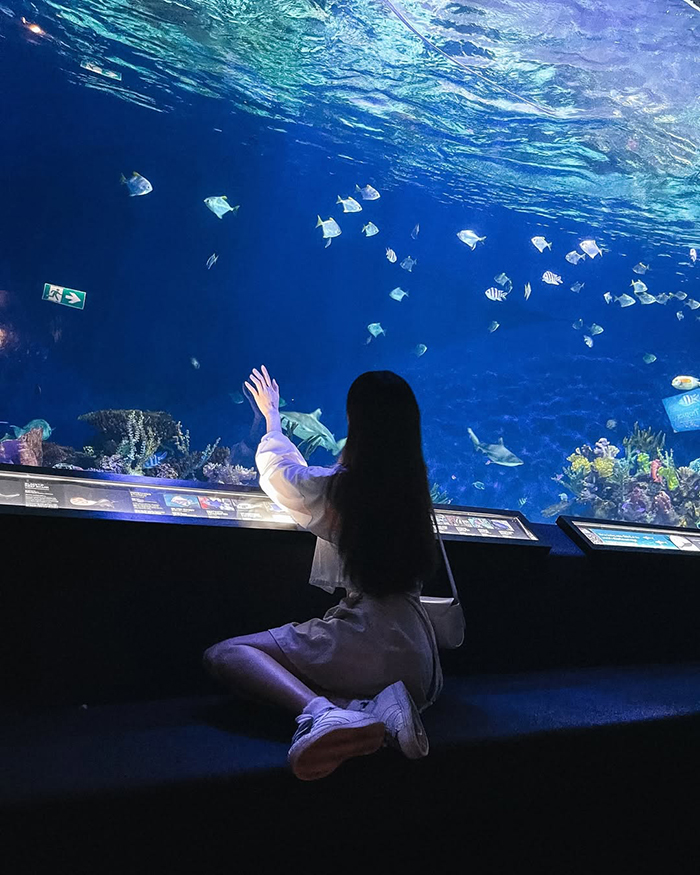 Thủy cung Vancouver (Vancouver Aquarium) tại công viên Stanley Park Canada