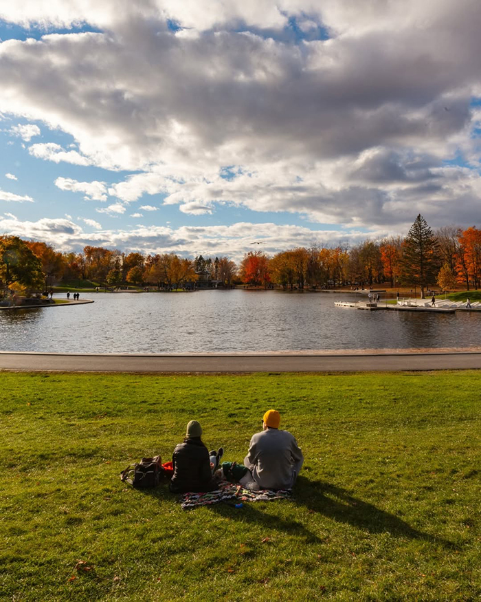 Vườn hồng Stanley Park ấn tượng