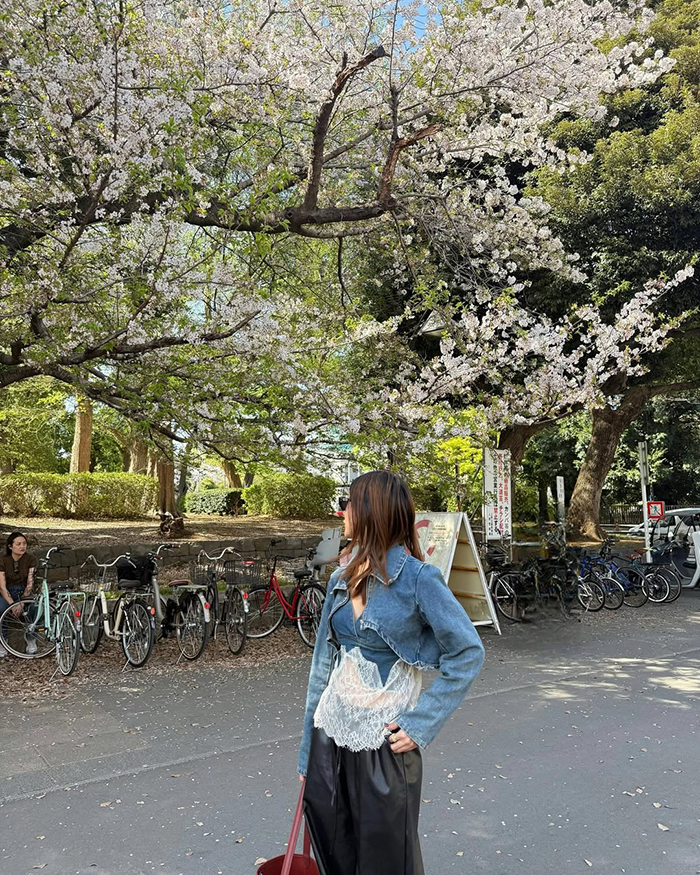 Di chuyển bằng tàu điện – phương tiện thuận tiện và phổ biến nhất tới công viên Ueno Nhật Bản