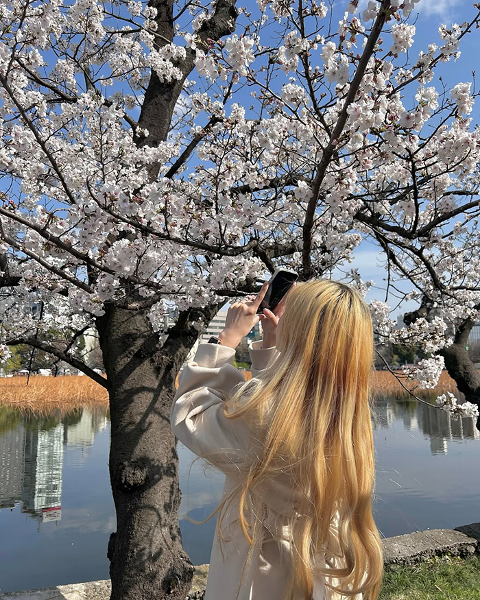 Mùa thu (tháng 10 – tháng 11): Mùa lá đỏ lãng mạn tại công viên Ueno Nhật Bản