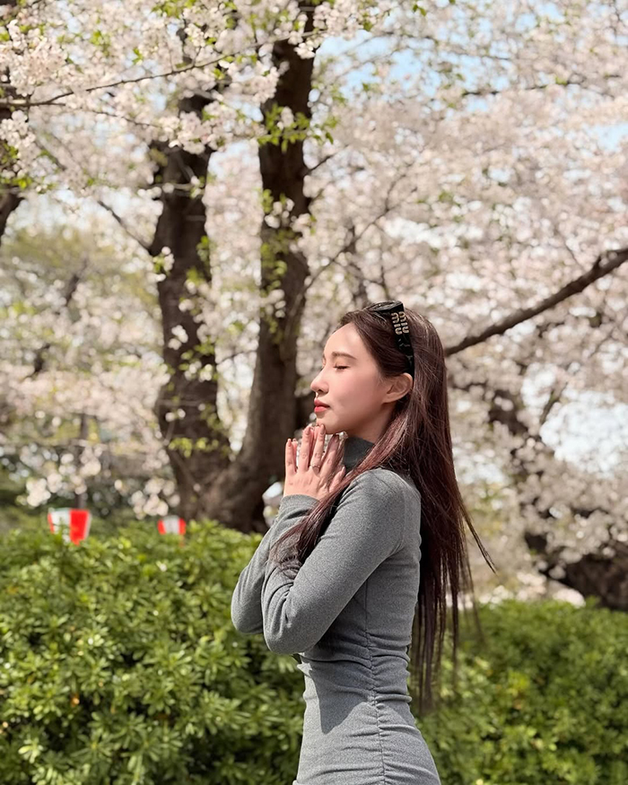 Công viên Ueno Nhật Bản là là phổi xanh của Tokyo