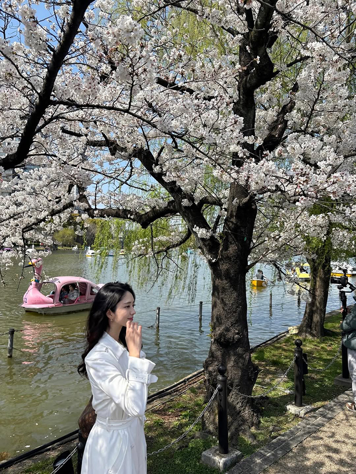 Khám phá cảnh quan tuyệt đẹp tại công viên Ueno Nhật Bản