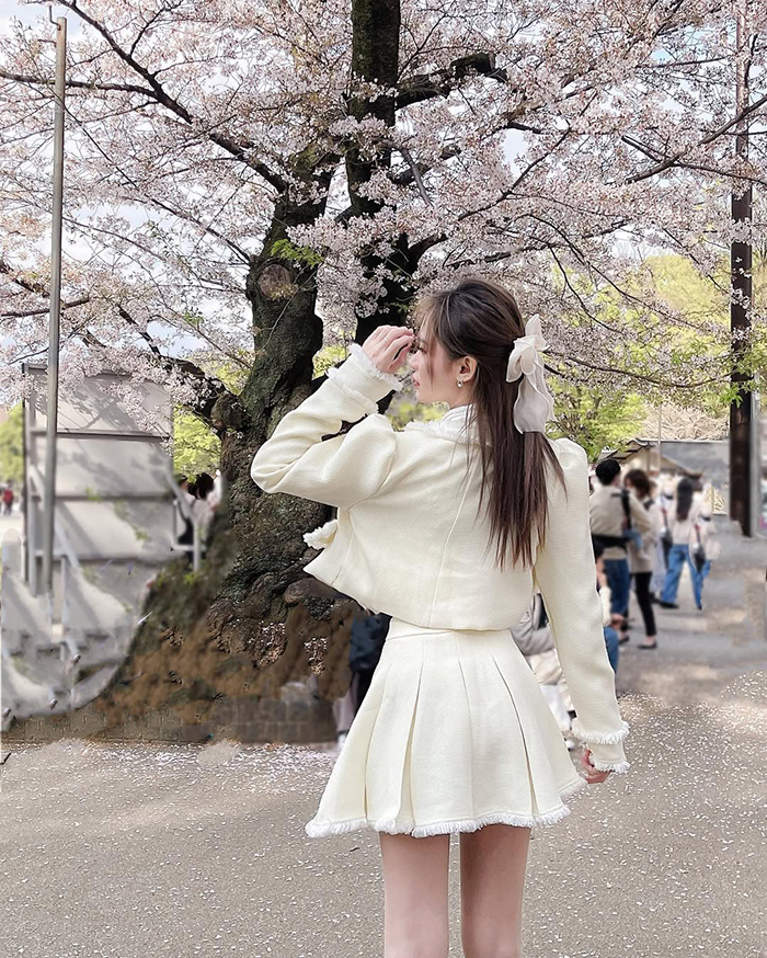 Giới thiệu đôi nét về công viên Ueno Nhật Bản