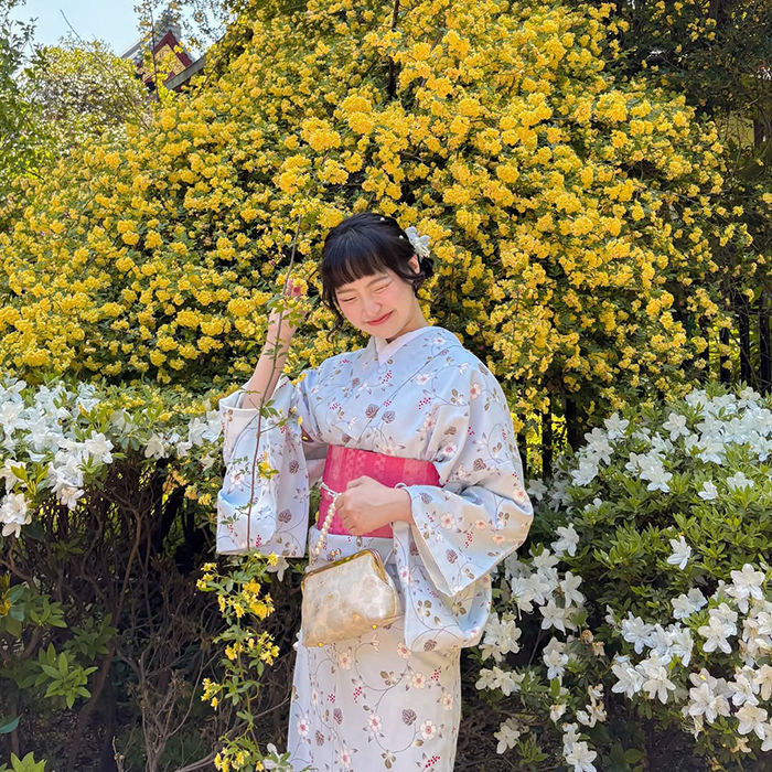 Hồ Shinobazu tại công viên Ueno Nhật Bản