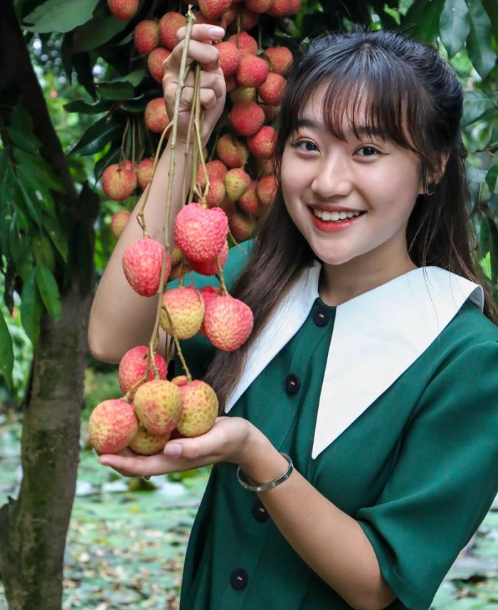 Vải trứng to, căng mọng là đặc sản Hưng Yên