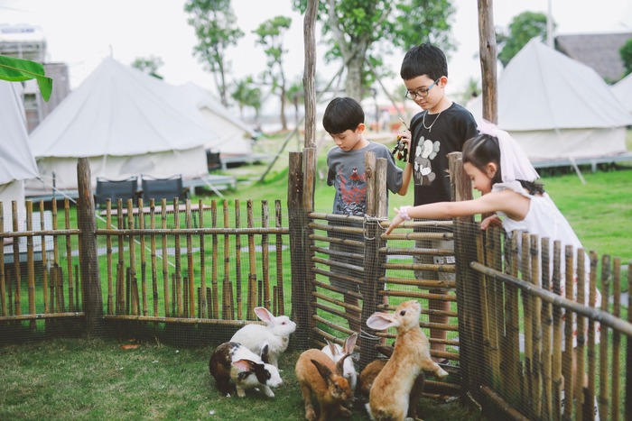 Địa điểm đi chơi 1-6 ở TP HCM - Khu cắm trại A New Day Glamping