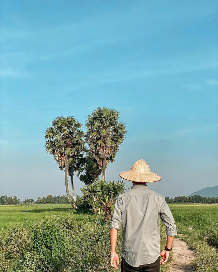 Ghé thăm các địa điểm du lịch Tri Tôn An Giang - Cây thốt nốt trái tim