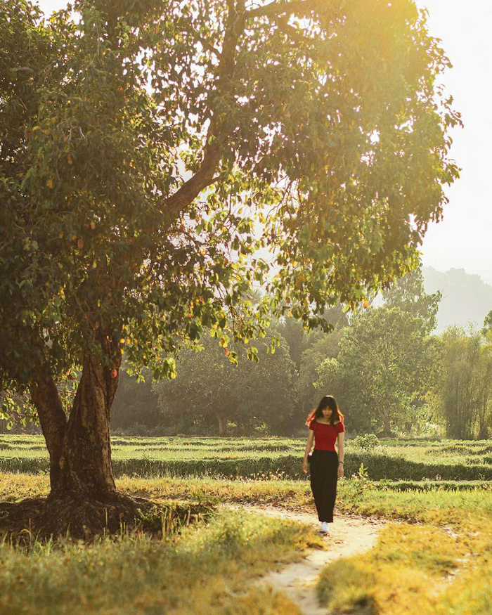 Khám phá các địa điểm du lịch Tri Tôn An Giang nổi tiếng 