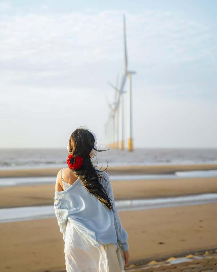 Điện gió Duyên Hải Trà Vinh là điểm check-in được săn đón