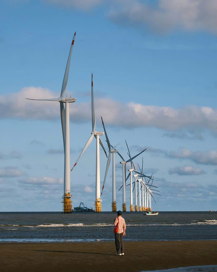 Điện gió Duyên Hải Trà Vinh nằm giữa bãi biển thơ mộng