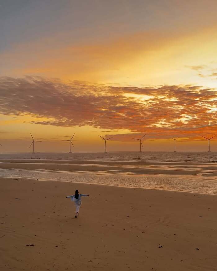 Điện gió Duyên Hải Trà Vinh vào lúc hoàng hôn thu hút nhiều người đến sống ảo