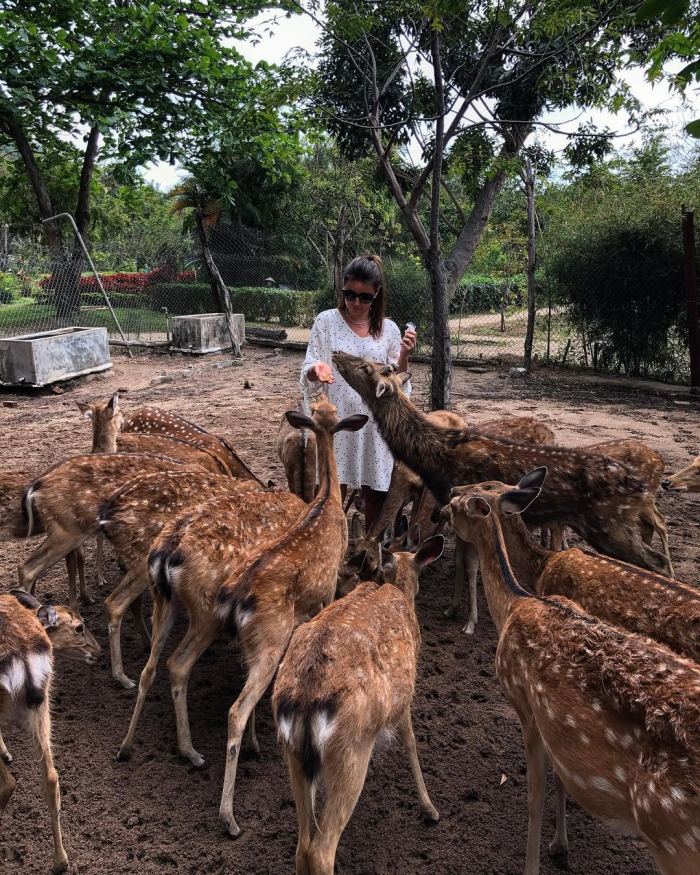 Du lịch đảo Hoa Lan Nha Trang