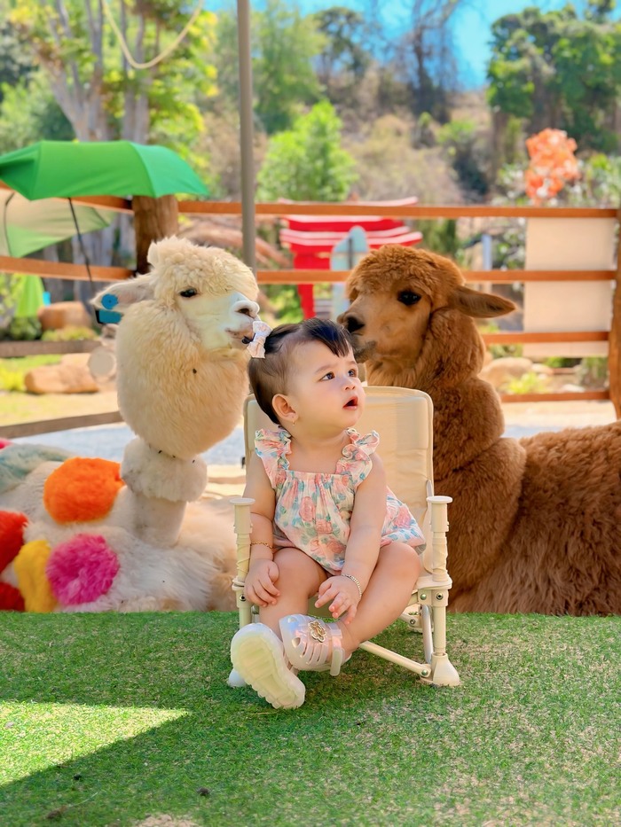 Gozoo Farm Đất Đỏ Vũng Tàu là địa điểm vui chơi lý tưởng dành cho các bạn nhỏ