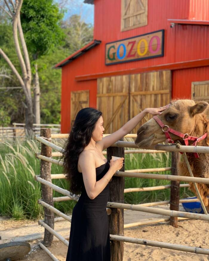 Gozoo Farm Đất Đỏ Vũng Tàu mang đến nhiều trải nghiệm thú vị