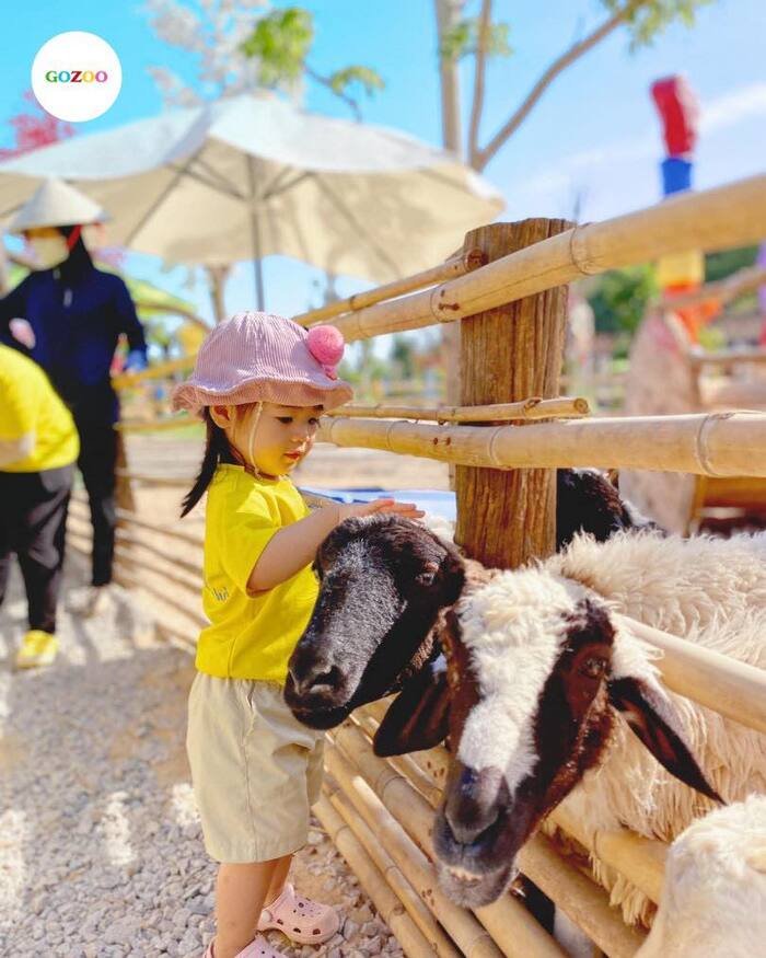 Khu giáo dục ở Gozoo Farm Đất Đỏ Vũng Tàu