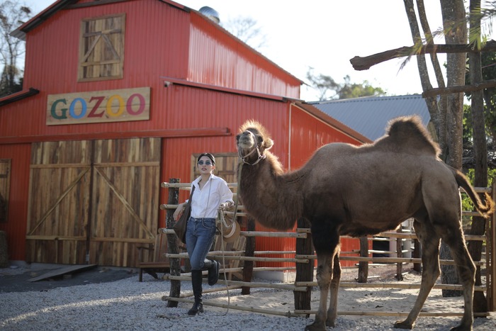 Gozoo Farm Đất Đỏ Vũng Tàu là địa điểm vui chơi cuối tuần thu hút đông du khách