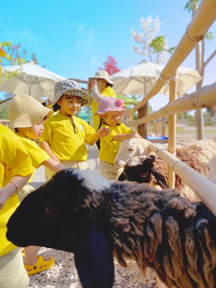 Khu giáo dục ở Gozoo Farm Đất Đỏ Vũng Tàu