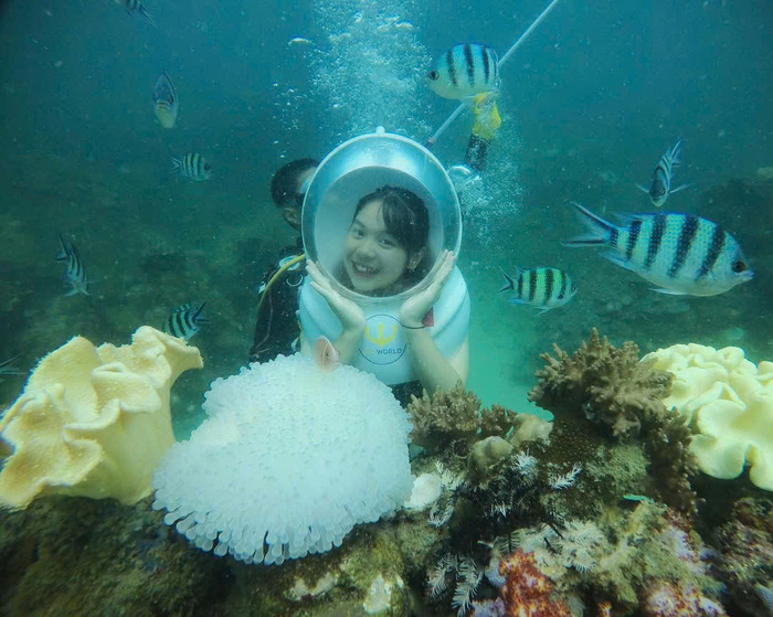 Khám phá hệ sinh thái ở Hòn Mây Rút Phú Quốc