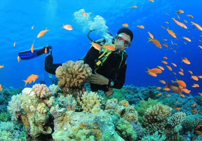Lặn biển ở Hòn Móng Tay Phú Quốc