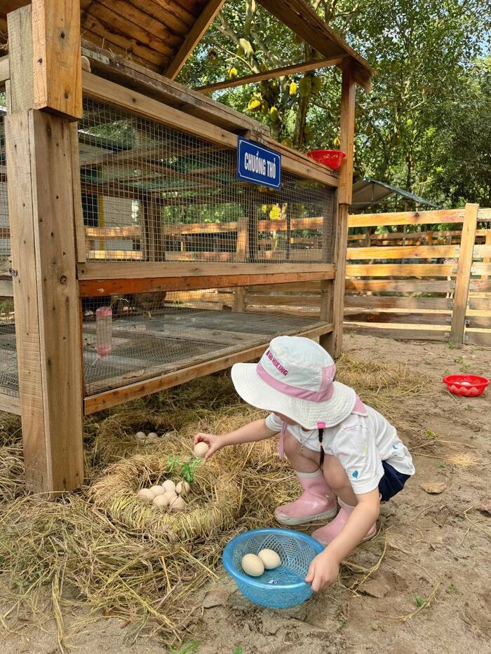 Khu dã ngoại gần Hà Nội cho trẻ em - Khu du lịch sinh thái Bản Rõm