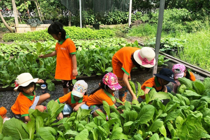 Khu dã ngoại gần Hà Nội cho trẻ em - Trang Trại Đồng Quê Ba Vì