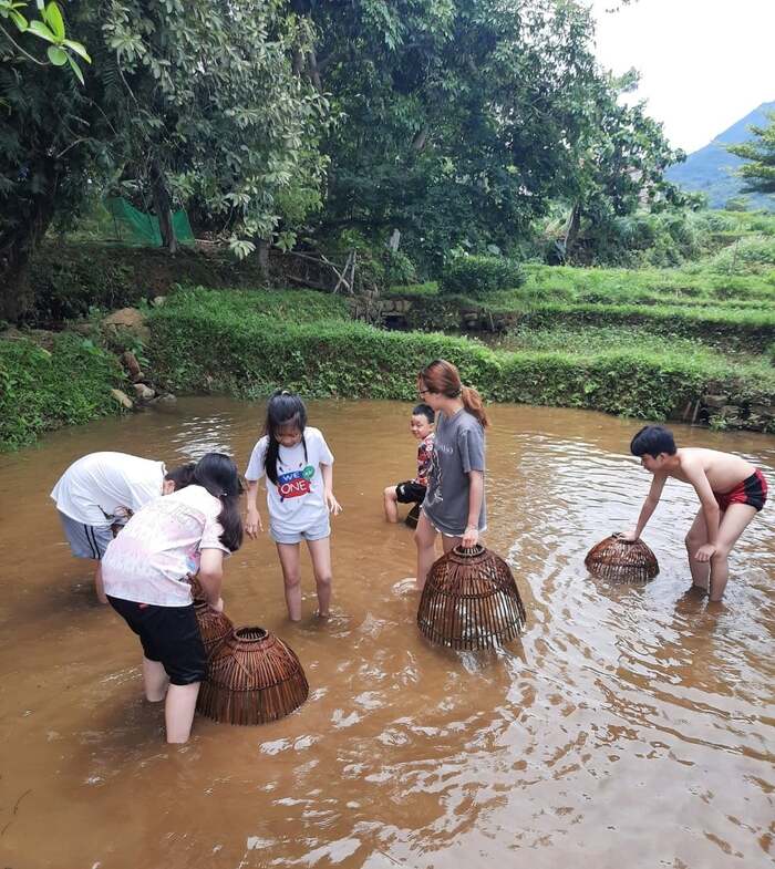 Khu dã ngoại gần Hà Nội cho trẻ em - Trang Trại Đồng Quê Ba Vì