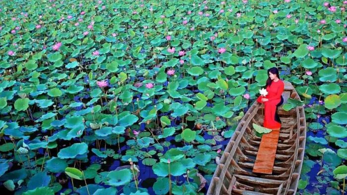 Khu du lịch sinh thái ở Đồng Tháp - Khu du lịch sinh thái Đồng Sen Tháp Mười