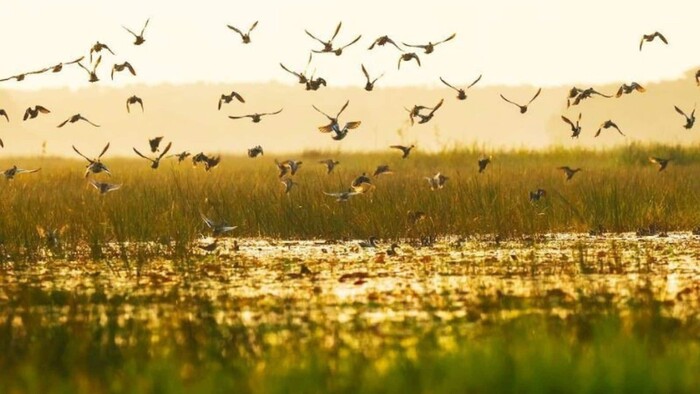 Khu du lịch sinh thái ở Đồng Tháp - Khu du lịch sinh thái Gáo Giồng