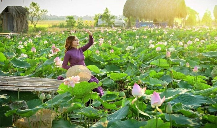 Khu du lịch sinh thái ở Đồng Tháp - Khu du lịch sinh thái Đồng Sen Tháp Mười