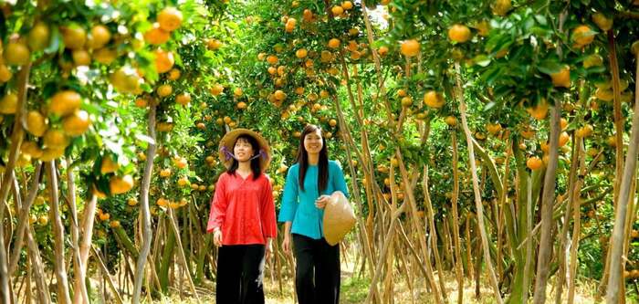 Khám phá các khu du lịch sinh thái Tiền Giang