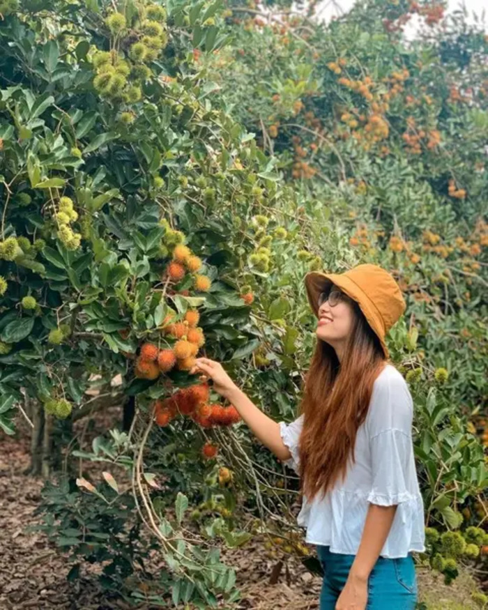 Khám phá các khu du lịch sinh thái Tiền Giang - Khu du lịch sinh thái Thới Sơn