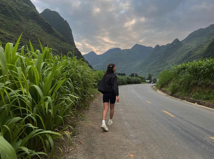 Làng Pả Vi Hà Giang còn giữ nguyên nét nguyên sơ của núi rừng Đông Bắc