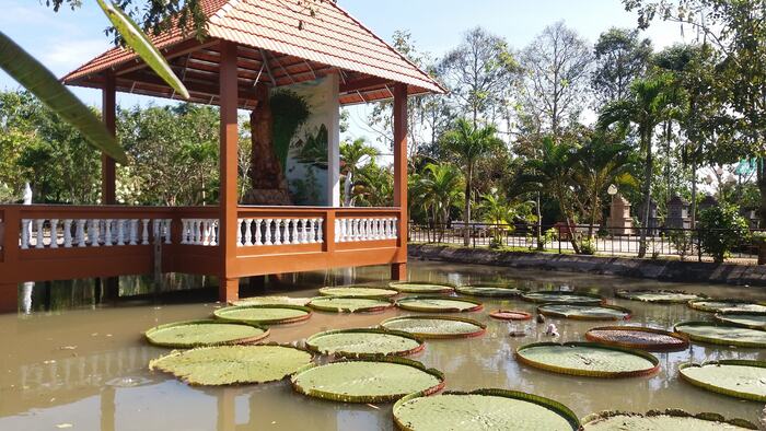 Các ngôi chùa đẹp ở Cần Thơ - Chùa Long Quang