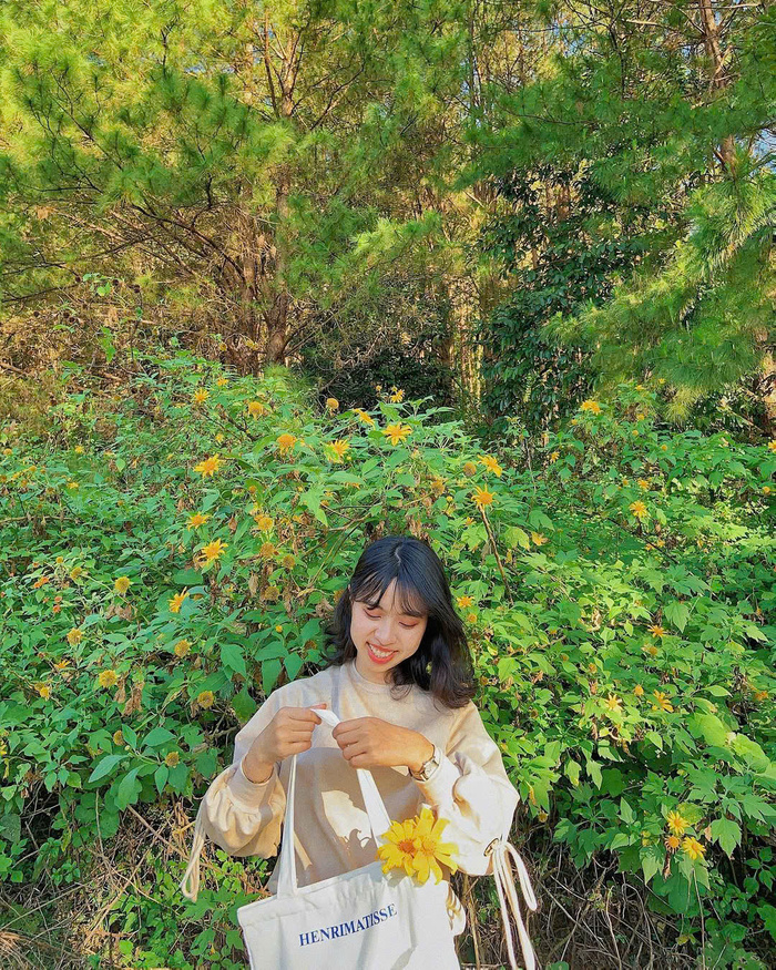 Những ngọn núi lửa đẹp ở Việt Nam - Núi Hàm Rồng