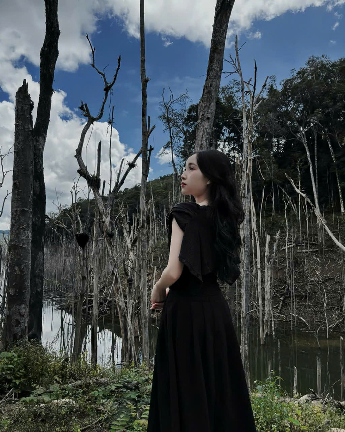 Nên tham gia tour Rừng chết Măng Đen nếu bạn lần đầu trải nghiệm