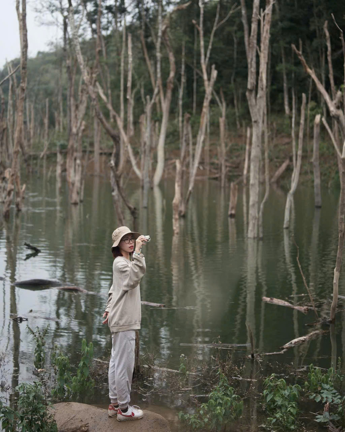 Rừng chết Măng Đen vào tháng 4 - 5 thu hút nhiều du khách ghé thăm chụp ảnh