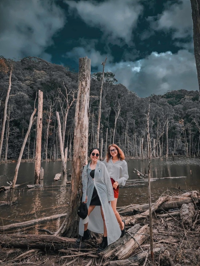 Rừng chết Măng Đen - Điểm đến du lịch độc lạ của Kon Tum